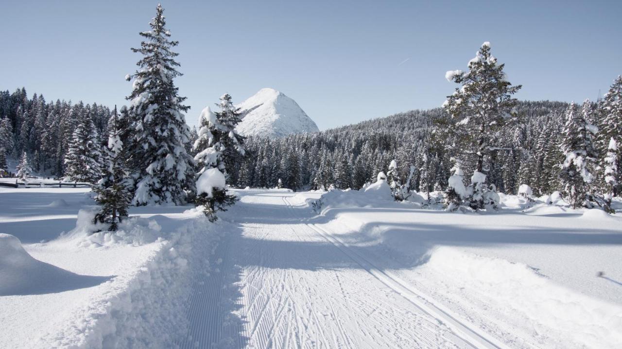 Haus Excelsior Top 29 Seefeld in Tirol Exterior photo